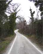 San Mamante