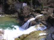 Fiume Montone