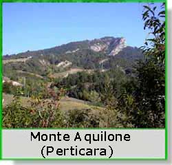 Monte Aquilone