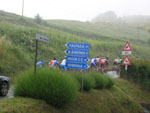 bivioFaenza