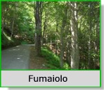 Passo Monte Fumaiolo