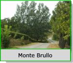 Monte Brullo