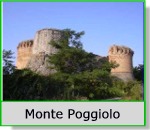 Monte Poggiolo